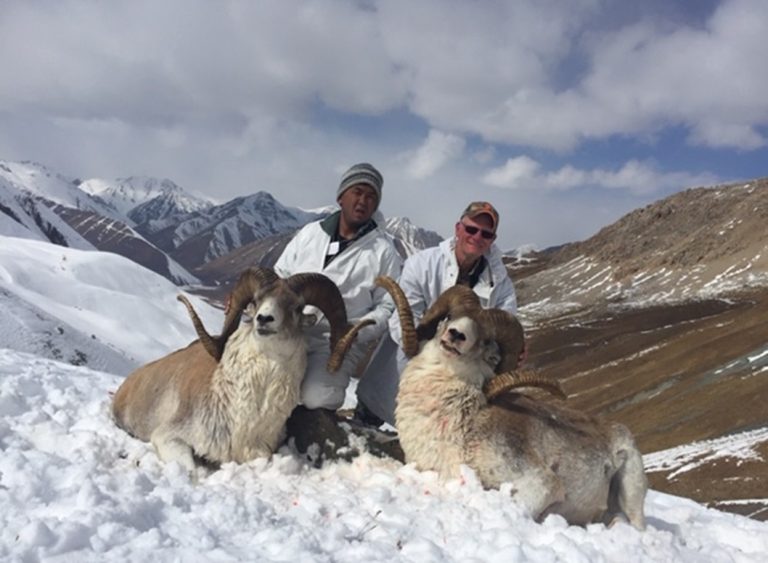 MARCOPOLO and IBEX Hunt in KYRGYZSTAN