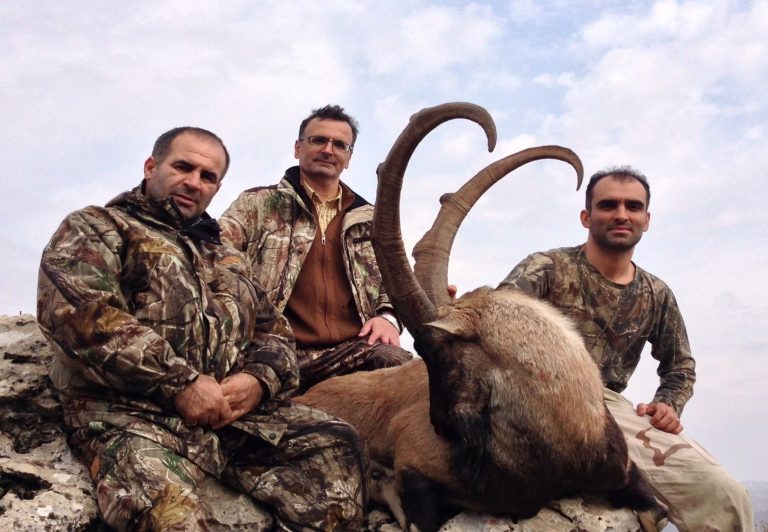 IBEX Hunt in TURKEY