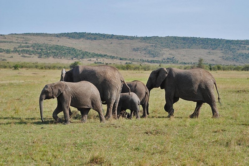 Tanzania2