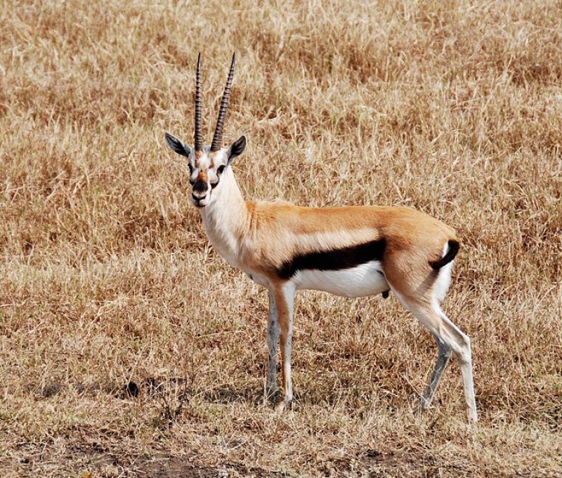 Tanzania7