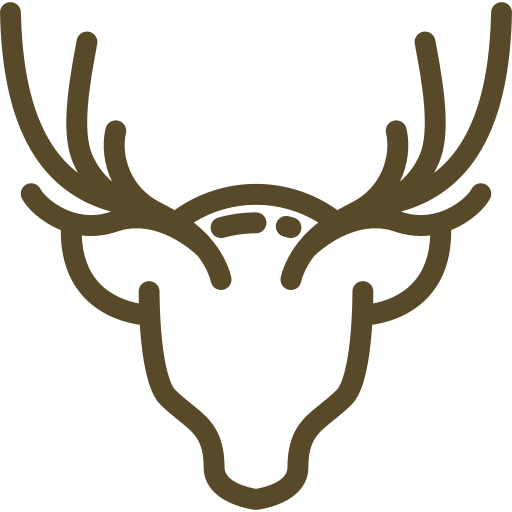 Various Types of Safaris