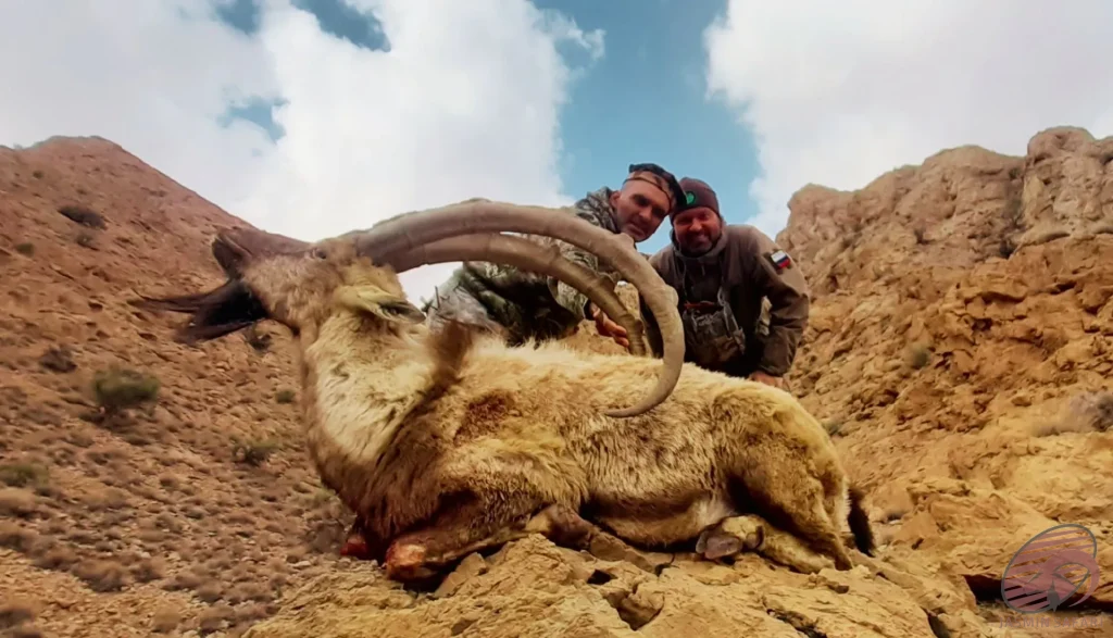 Two hunters posing in a rugged mountain terrain with a massive ibex (Capra aegagrus), showcasing the thrill and adventure of hunt in Iran.