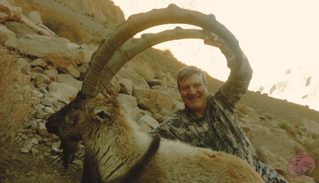 A hunter proudly posing with a massive ibex (Capra aegagrus) in the rocky cliffs of Iran, capturing the essence and excitement of hunt in Iran.