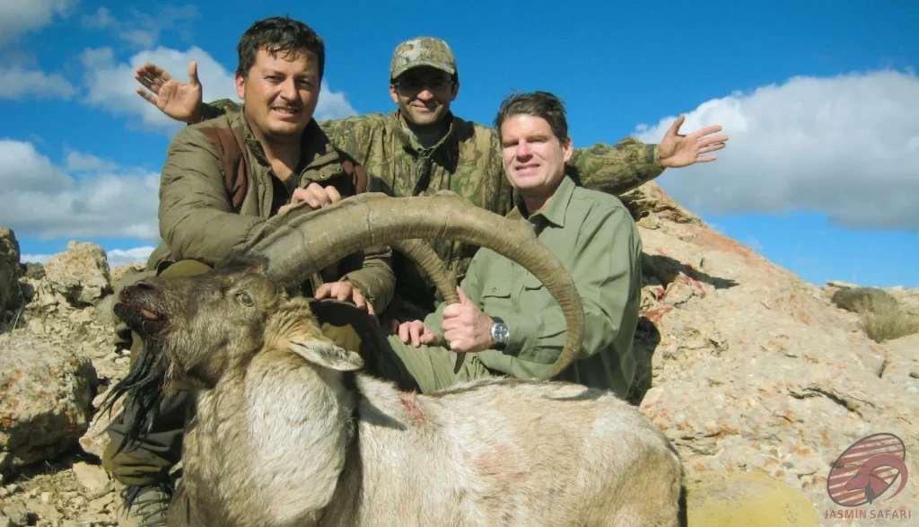 Three hunters with a trophy ibex (Capra aegagrus) in the rocky mountains of Iran, showcasing the rugged terrain and excitement of hunt in Iran.