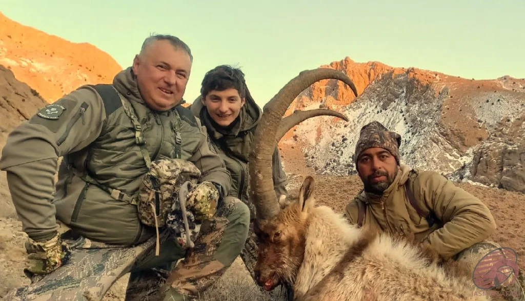 Three hunters posing with a trophy ibex (Capra aegagrus) in the snowy mountain terrain of Iran, reflecting the excitement and challenge of hunt in Iran.