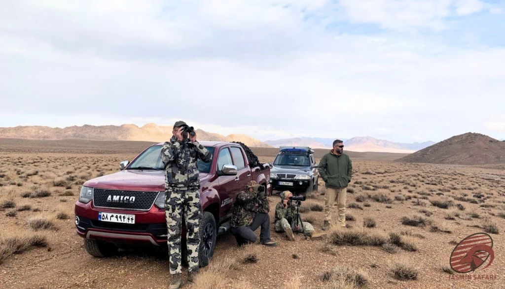 Hunters glassing a desert plain beside a red Amico pickup and 4×4 in Iran, hunt in Iran