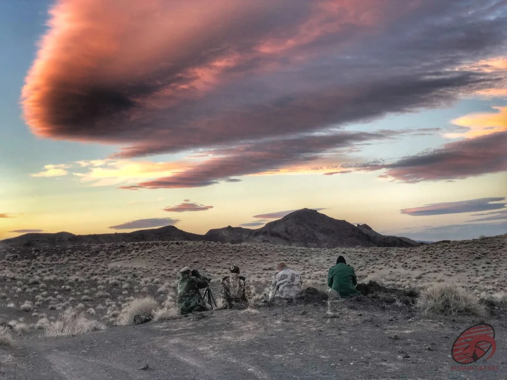 Hunters glassing a desert plain at sunset under dramatic clouds in Iran, hunt in Iran