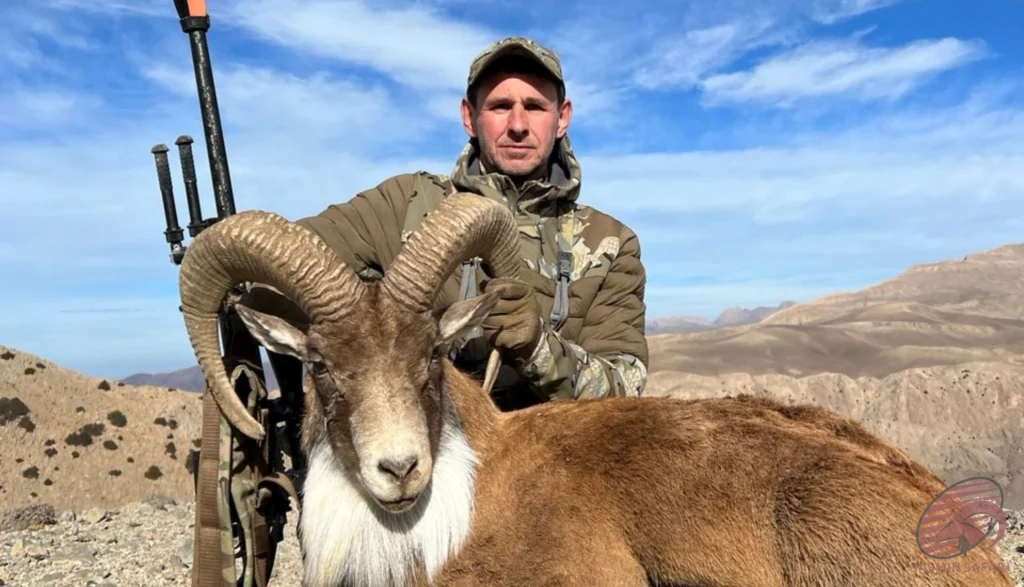 Wild sheep hunting in the mountains of Iran – professional hunter with trophy ram, hunt in Iran wildlife adventure.