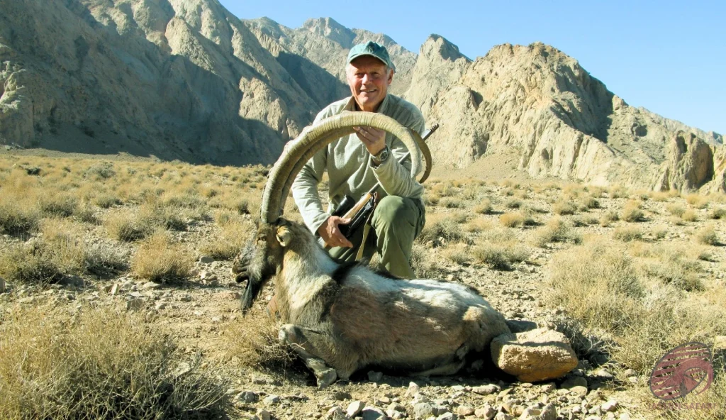 Persian ibex (Capra aegagrus aegagrus) desert-basin mountain hunting in Iran – hunter with a trophy ibex in arid rocky landscape, hunt in Iran adventure.