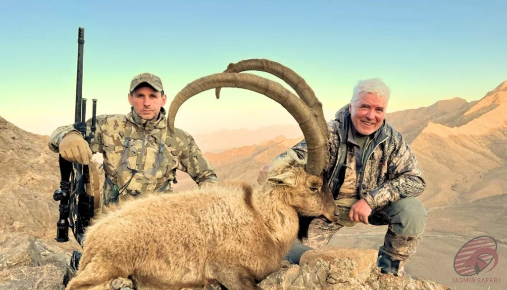 Persian ibex (Capra aegagrus aegagrus) mountain hunting expedition in Iran – hunters with trophy ibex, hunt in Iran adventure.