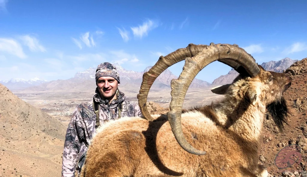 Persian ibex (Capra aegagrus aegagrus) mountain hunting in Iran – hunter with trophy ibex and sweeping highland vista, hunt in Iran adventure.