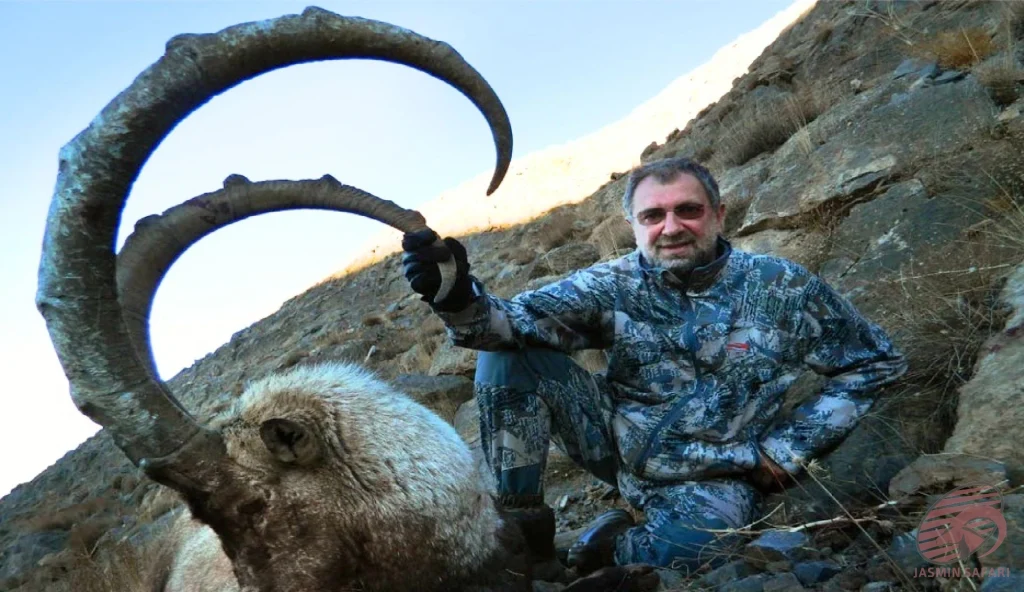 Persian ibex (Capra aegagrus aegagrus) steep-slope mountain hunting in Iran – hunter with trophy ibex on rocky terrain, hunt in iran adventure.