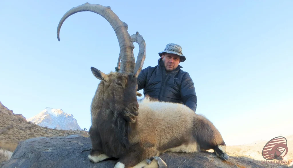 Trophy Persian ibex (Capra aegagrus aegagrus) hunting in the high mountains of Iran – hunter with record-class ibex, hunt in Iran expedition.