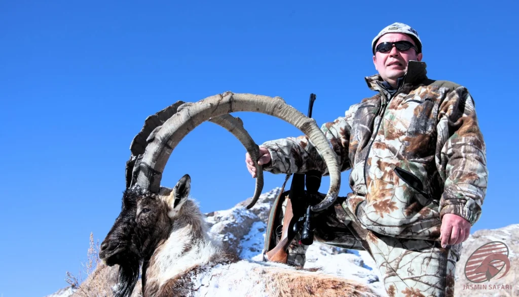 Persian ibex (Capra aegagrus aegagrus) winter hunting expedition in the snowy mountains of Iran – hunter with record ibex trophy, hunt in iran adventure.