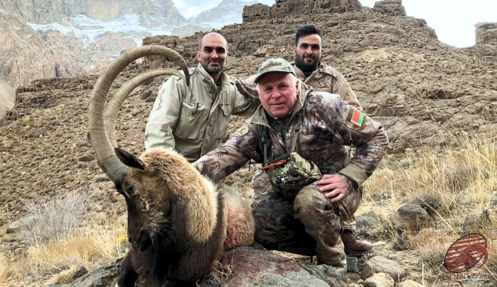 شکار بز کوهی ایرانی (Persian Ibex / Capra aegagrus) در کوهستان‌های Iran – hunt in iran