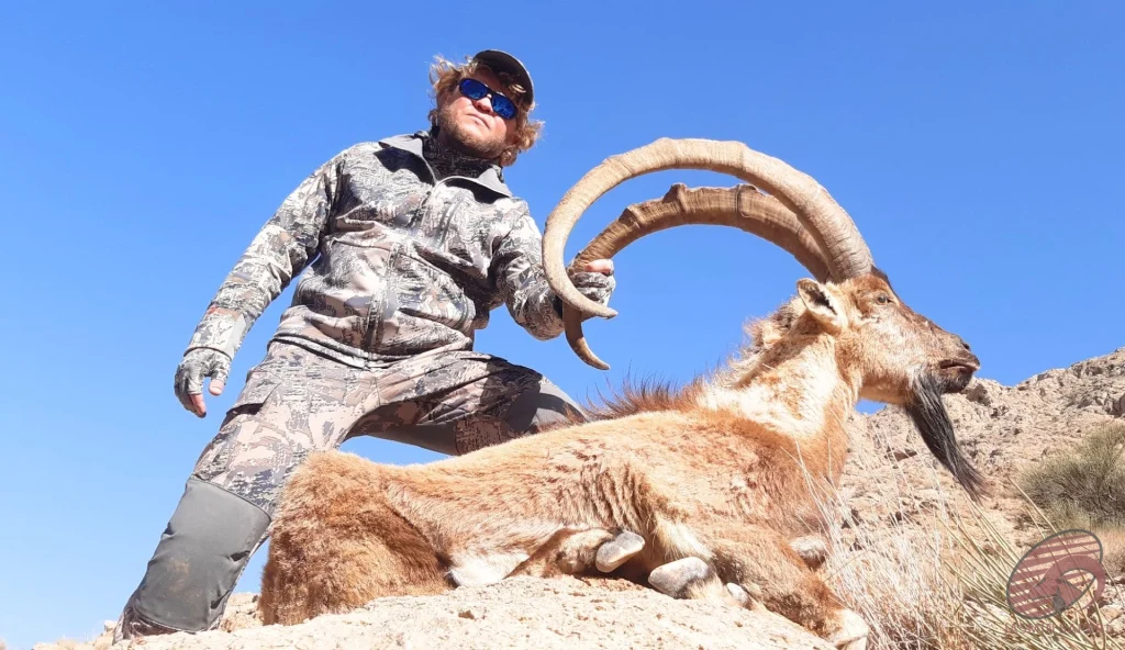 Persian ibex (Capra aegagrus aegagrus) mountain hunting in Iran – hunter posing with a trophy ibex showing sweeping curved horns and black throat tuft, hunt in iran adventure.