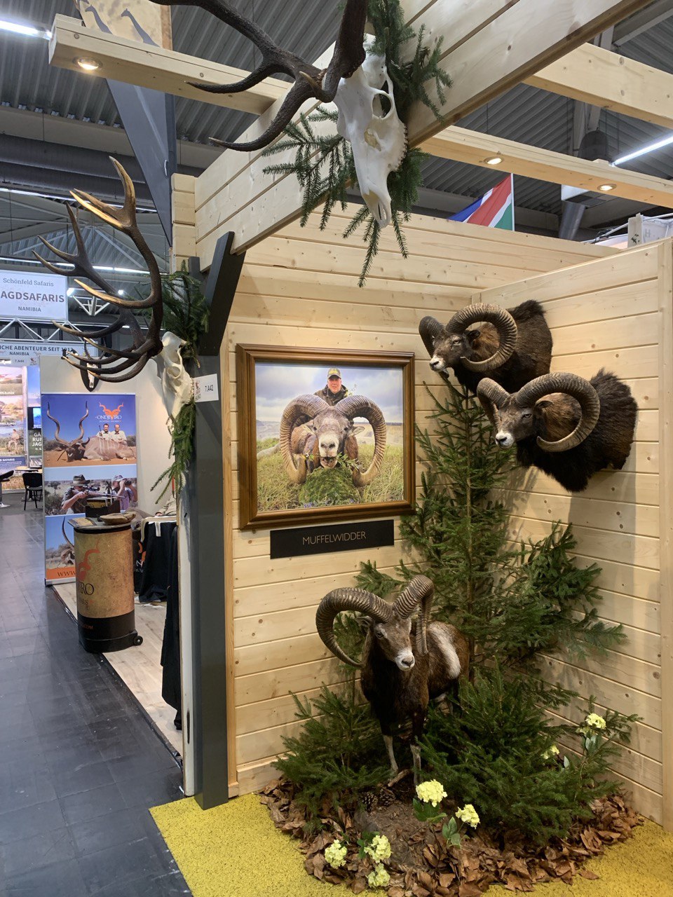 A good display from Muflon at the Dortmund hunting show in Germany 2025.