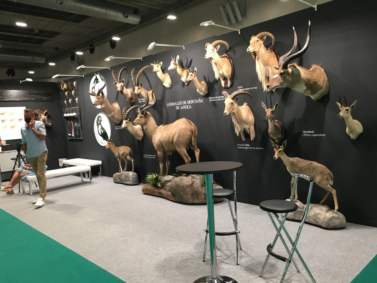 A fascinating display of animals Africa, hunting show in Spain, Cinegetica 2025.