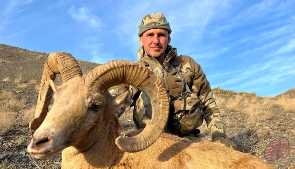 Wild sheep (Ovis orientalis) hunting expedition in the dry mountain regions of Iran – hunter with trophy wild sheep, hunt in Iran experience.