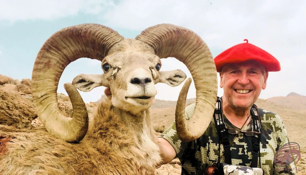 Wild sheep (Ovis orientalis) trophy hunting expedition in Iran – hunter smiling with a large-horned sheep, hunt in iran adventure.