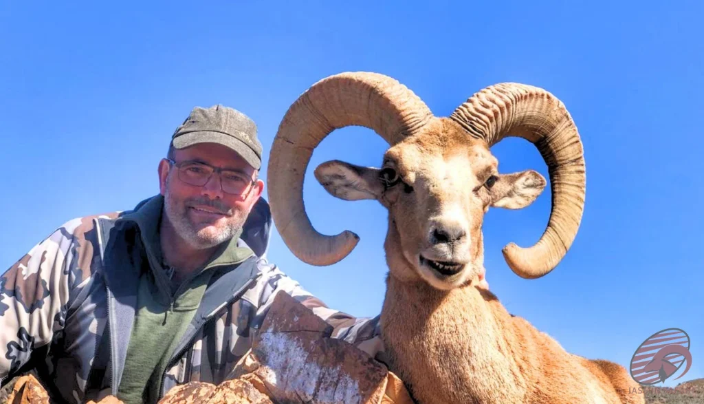Trophy wild sheep (Ovis orientalis) hunting in the mountains of Iran – hunter with impressive horns, hunt in iran adventure.