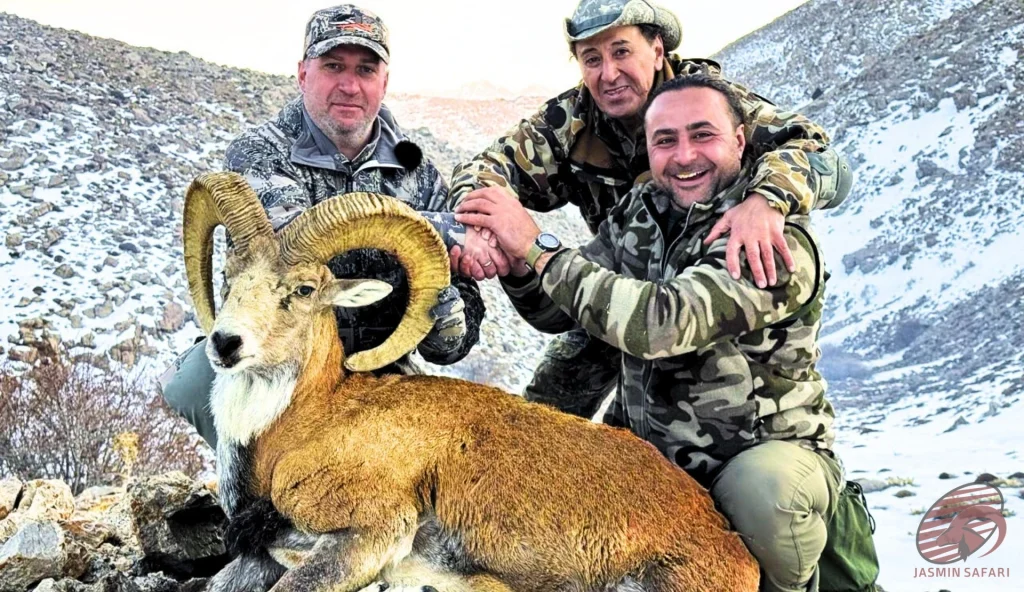 Wild sheep (Ovis orientalis) winter mountain hunting in Iran – three hunters with a trophy ram in snowy highlands, hunt in iran adventure.