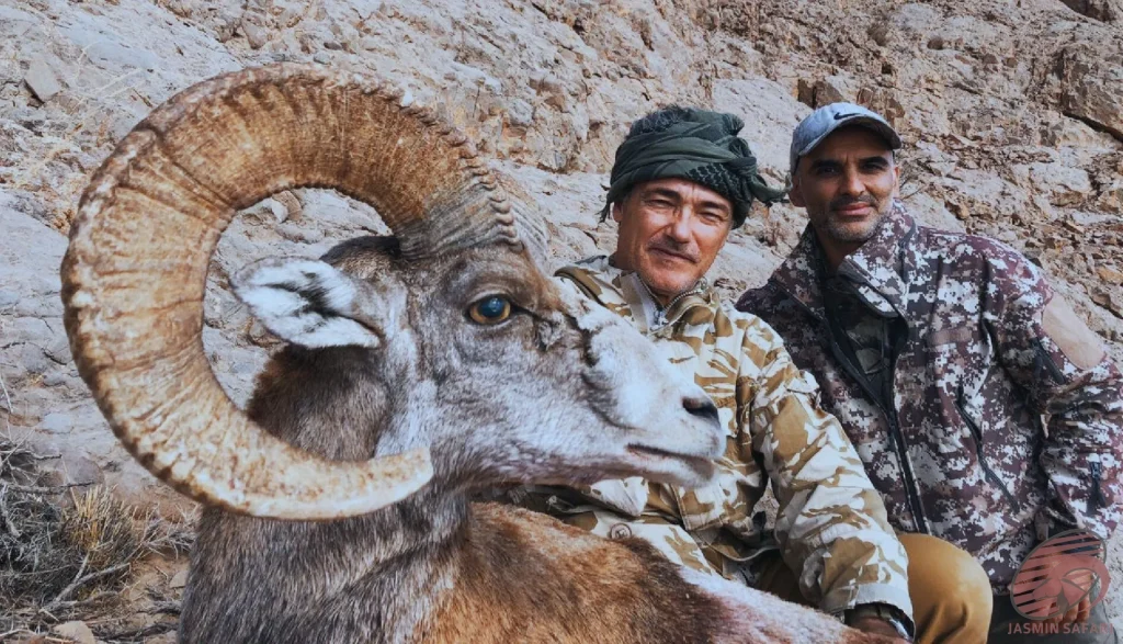 A hunter posing in the rocky mountains of Iran with a wild sheep (Ovis orientalis) trophy with large curved horns – an authentic mountain hunting scene – hunt in Iran