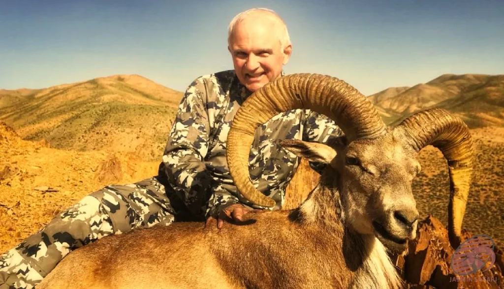 A hunter with a trophy wild sheep (Ovis orientalis) in the mountains of Iran, showcasing the tradition of hunt in Iran.