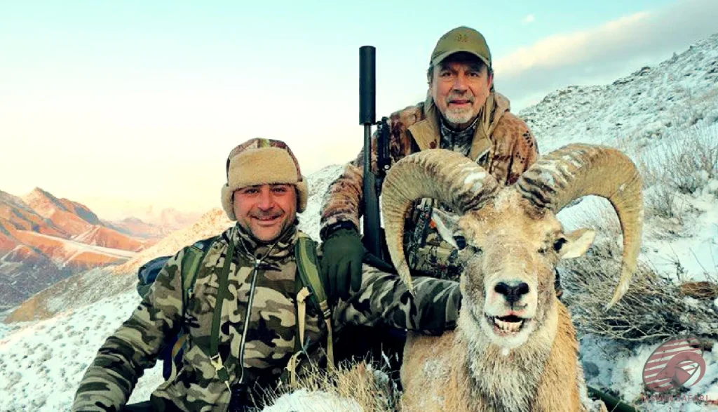 Two hunters with a wild sheep (Ovis orientalis) trophy in the snowy mountains of Iran, representing the thrill of hunt in Iran.