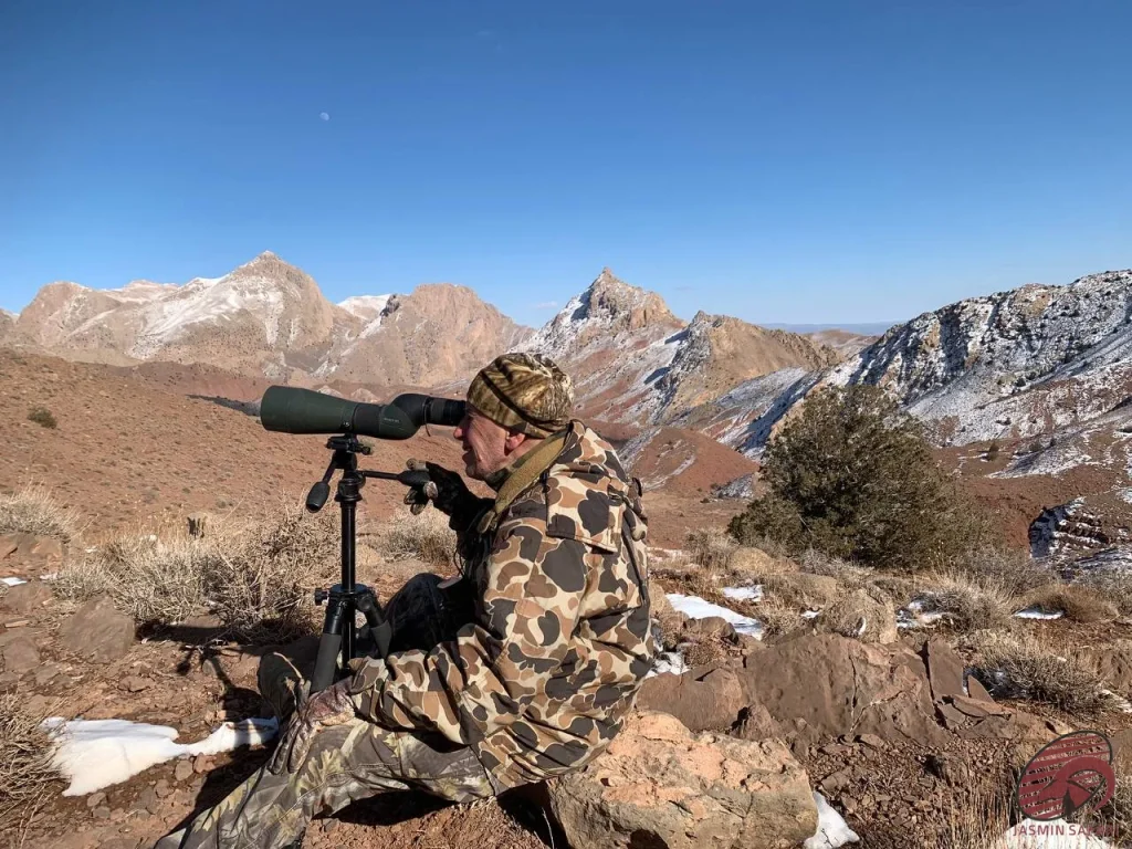 afghan-urial-hunting-in-the-mountains
