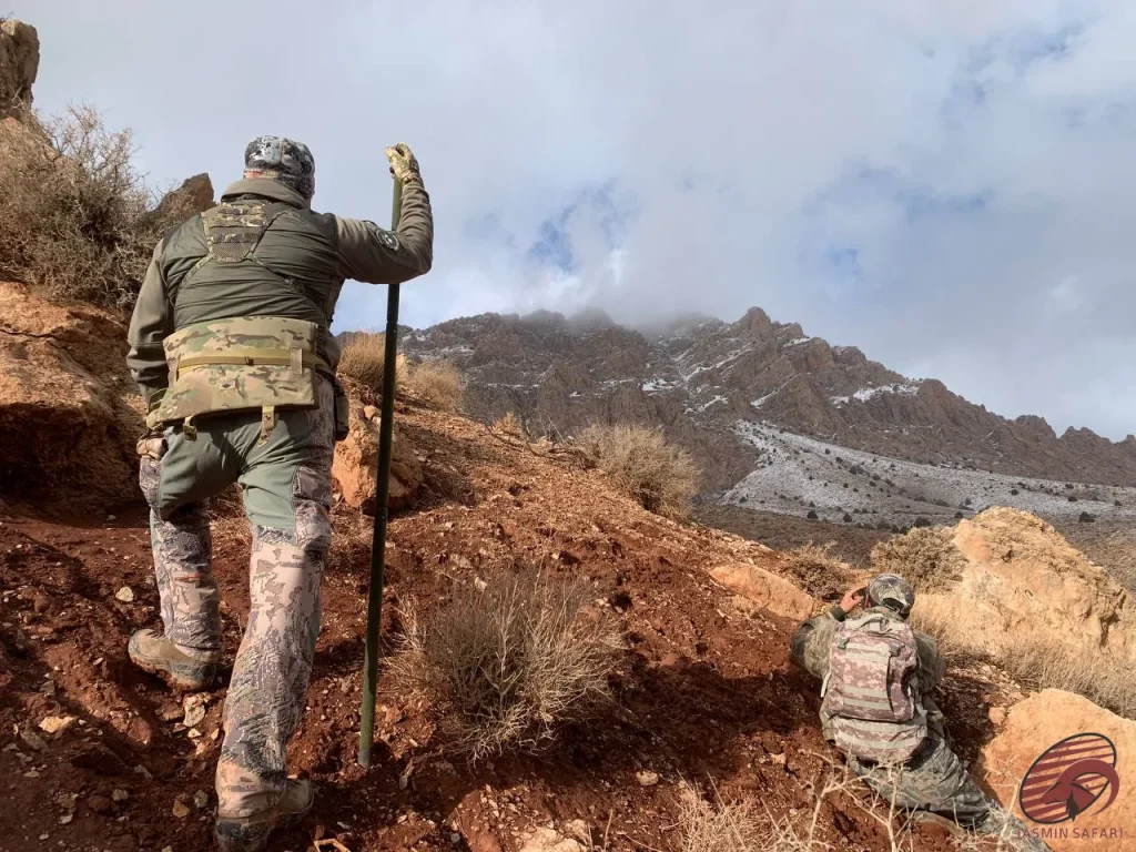 afghan-urial-hunting-in-the-mountains-2