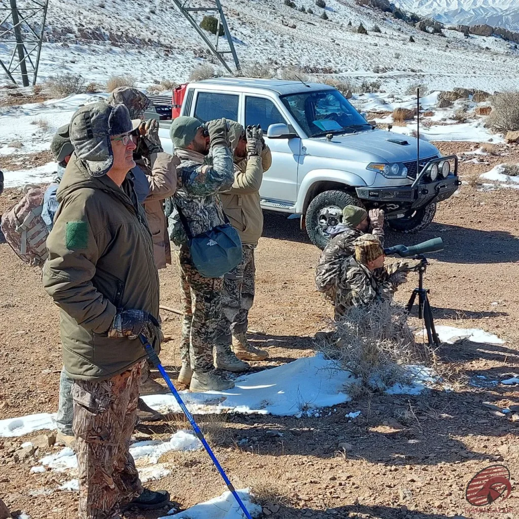 afghan-urial-hunting-in-the-wild-2