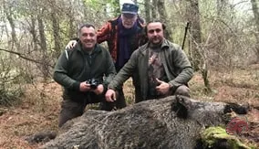 It is a Wild Boar. A memorable hunt.
