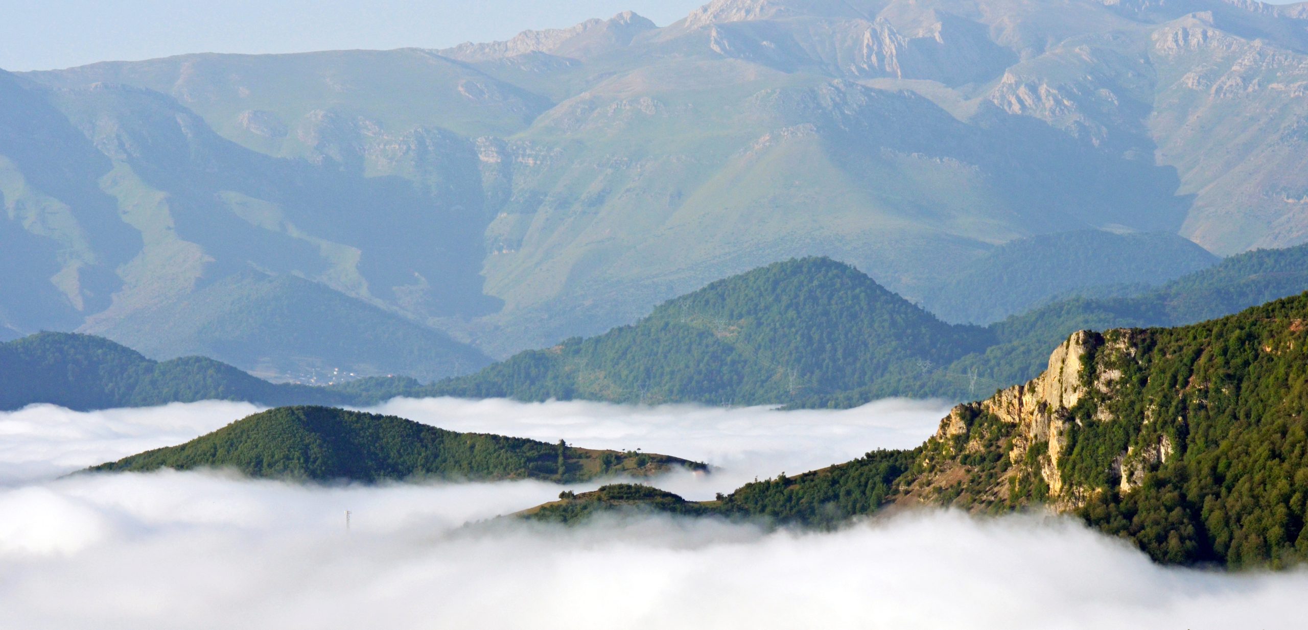 The Hyrcanian Forests are a unique and invaluable natural treasure stretching like a green ribbon along the southern coast of the Caspian Sea, mainly across Iran, and partly in Azerbaijan.