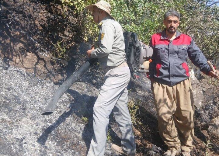Two Wildfires in Sarvabad’s Natural Areas Contained Before Spreading
