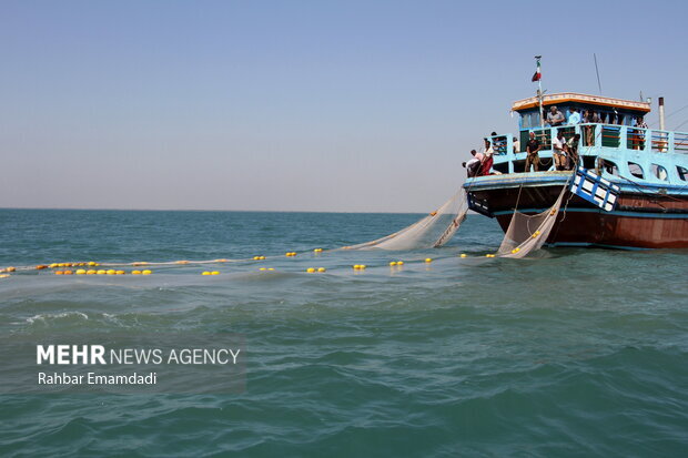 Second Marine Patrol for Shrimp Stock Assessment Begins in Bushehr Waters