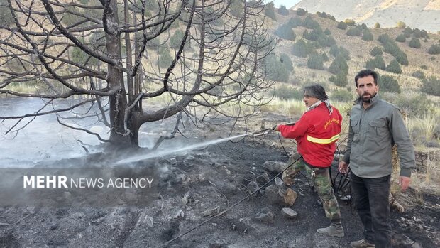 Fire in 2 Hectares of Pastureland in Dena Marghzar Tash Contained by Rescue Teams